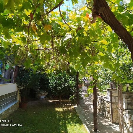 Morfili Villa Limenaria  Exterior foto